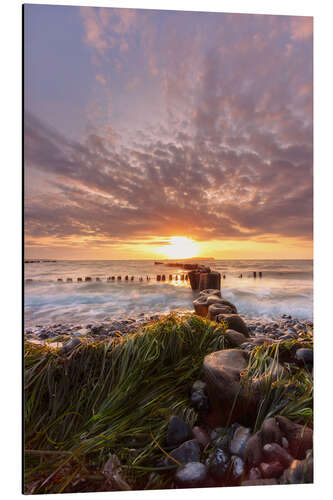 Aluminium print Sunset on the stony Baltic Sea beach