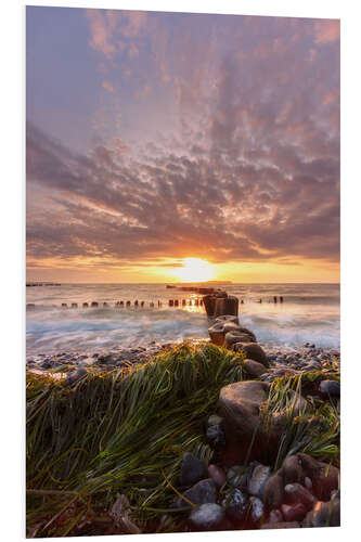 PVC-tavla Sunset on the stony Baltic Sea beach