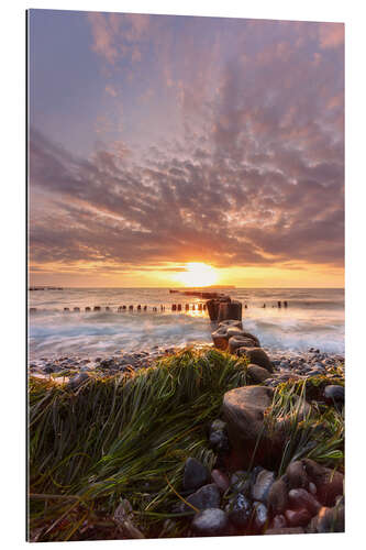 Gallery print Sunset on the stony Baltic Sea beach