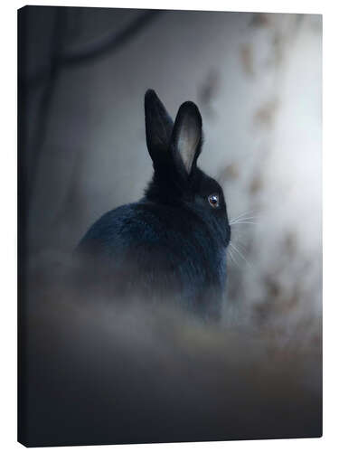 Canvas print Rabbit in the Morning Mist