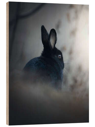 Quadro de madeira Rabbit in the Morning Mist