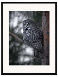 Gerahmter Kunstdruck Große Graueule