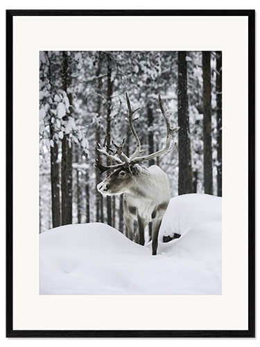 Kunsttryk i ramme Reindeer in the Snowy Forest