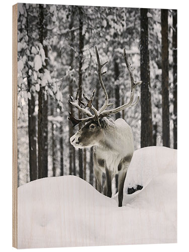 Puutaulu Reindeer in the Snowy Forest