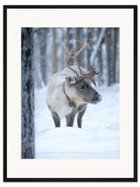 Gerahmter Kunstdruck Rentier im Winterwunderland