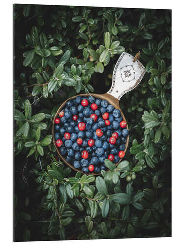 Gallery print A Cup full of Berries in the Forest