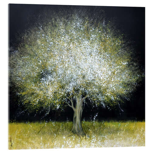 Acrylglasbild Leuchtender Baum bei Nacht