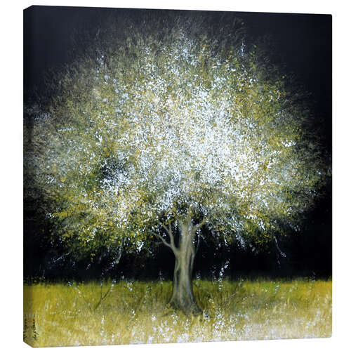 Lienzo Árbol brillante en la noche
