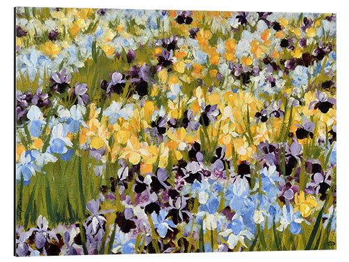 Aluminiumtavla The perfume - Iris field in yellow and violet