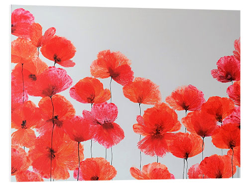 Foam board print Vermilion Composition - Red Wildflowers