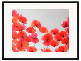 Gerahmter Kunstdruck Zinnoberrot Komposition - Rote Wildblumen