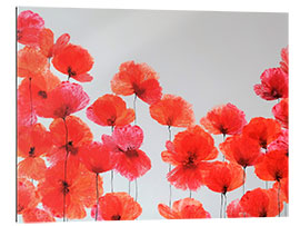 Gallery print Vermilion Composition - Red Wildflowers