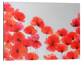 Magnettafel Zinnoberrot Komposition - Rote Wildblumen