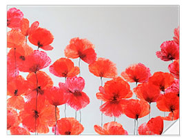 Sticker mural Composition Vermillon - Fleurs sauvages rouges