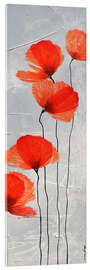 Acrylic print  Wild Beauty - Poppies - Sophie Duplain