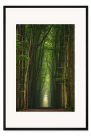 Gerahmter Kunstdruck Nebelige Buchenallee in einem holländischen Wald
