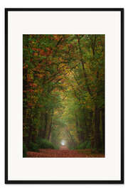 Gerahmter Kunstdruck Bunte Herbstallee in den Niederlanden