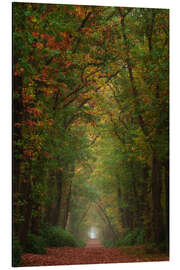 Magnettafel Bunte Herbstallee in den Niederlanden