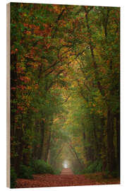 Quadro de madeira Colourful autumn alley in the Netherlands