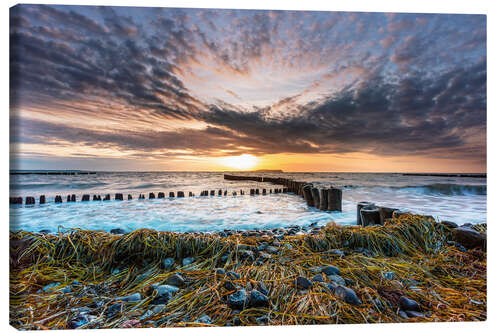 Canvas print Autumn on the Baltic Sea beach