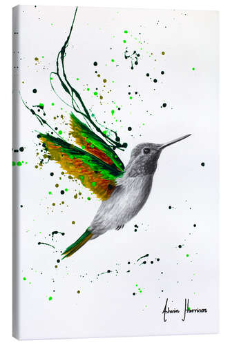 Canvas print Healing Hummingbird