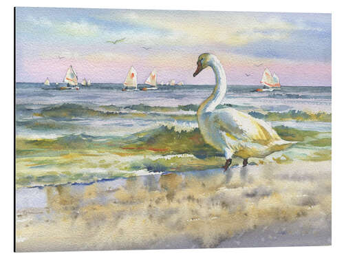 Tableau en aluminium A swan at the beach