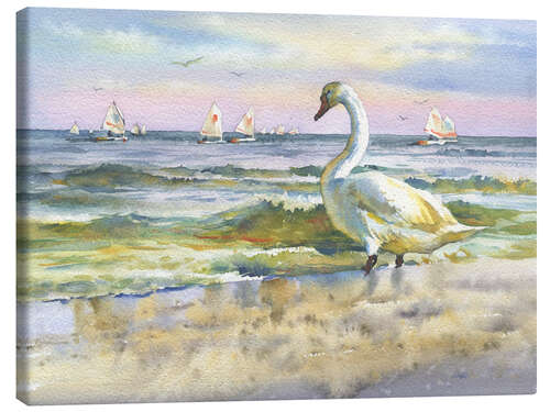 Canvas print A swan at the beach