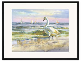 Gerahmter Kunstdruck Ein Schwan am Strand