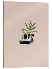 Gallery print Floral Polaroid Camera