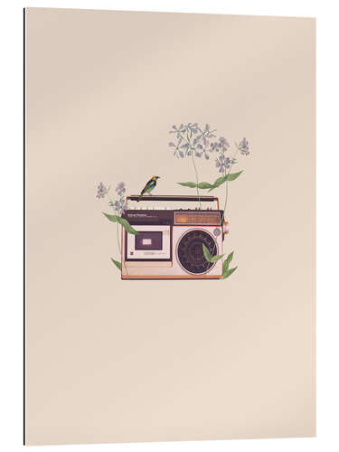 Stampa su plexi-alluminio Floral Radio