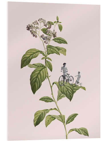 Cuadro de metacrilato Botanical Cycling