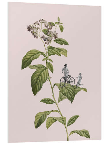 Tableau en PVC Botanical Cycling