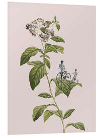 Foam board print Botanical Cycling