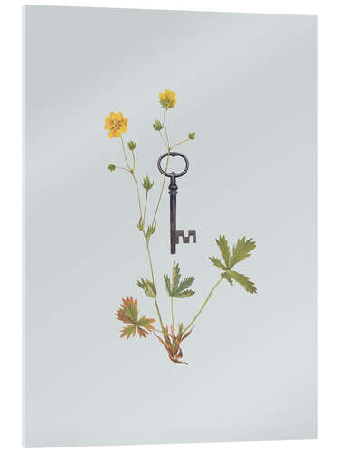 Acrylglasbild Botanical Vintage Key