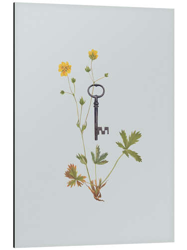 Alumiinitaulu Botanical Vintage Key