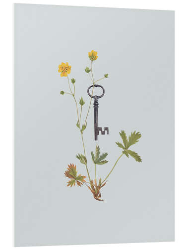 Tableau en PVC Botanical Vintage Key