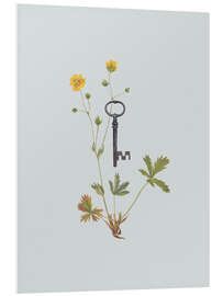 Foam board print Botanical Vintage Key