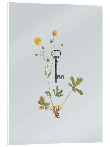 Tableau en plexi-alu Botanical Vintage Key