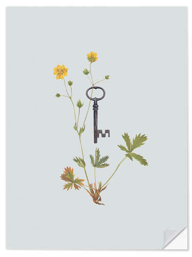 Wall sticker Botanical Vintage Key