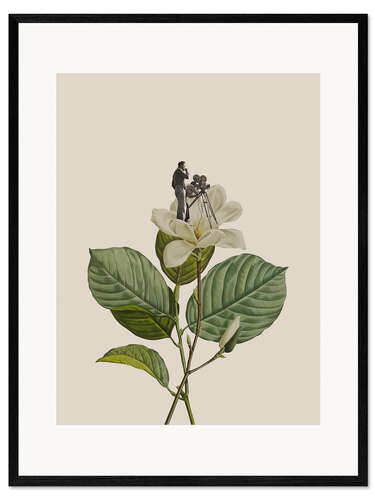 Ingelijste kunstdruk Botanical Vintage Cameraman