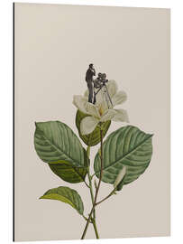 Magnettafel Botanical Vintage Cameraman