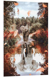 Foam board print Dream Big - Baby Becomes Elephant