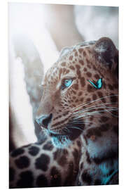 Foam board print Leopard and blue Butterfly