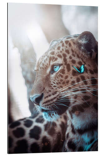 Gallery Print Leopard und blauer Schmetterling