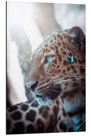 Magnettafel Leopard und blauer Schmetterling