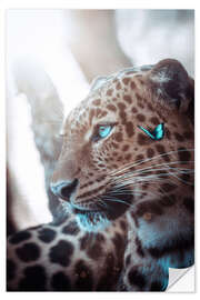 Sisustustarra Leopard and blue Butterfly