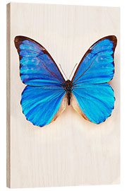 Quadro de madeira Pretty Blue Butterfly