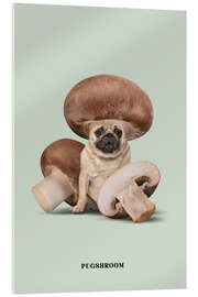 Obraz na szkle akrylowym  Pugshroom - Jonas Loose