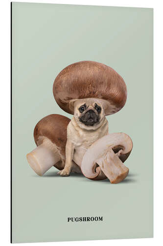 Cuadro de aluminio Pugshroom