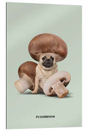 Galleritryk Pugshroom